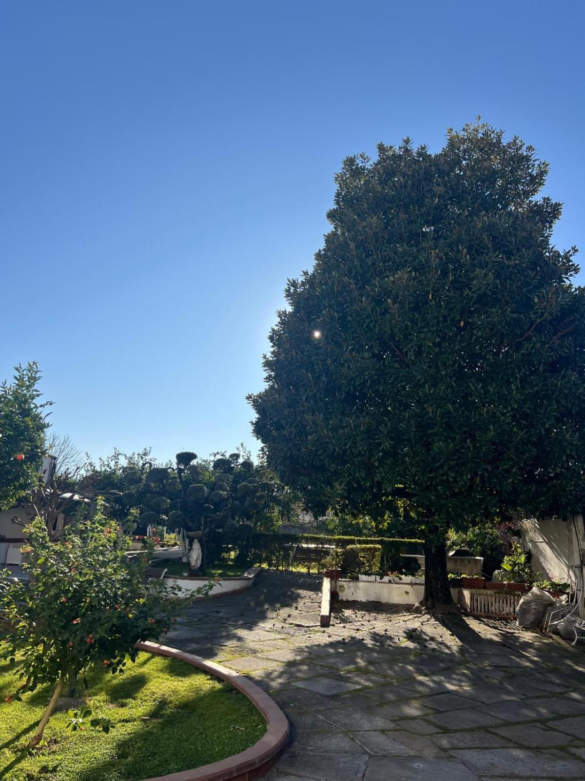 Maison Aielli 112 San Giuseppe Vesuviano Eksteriør billede